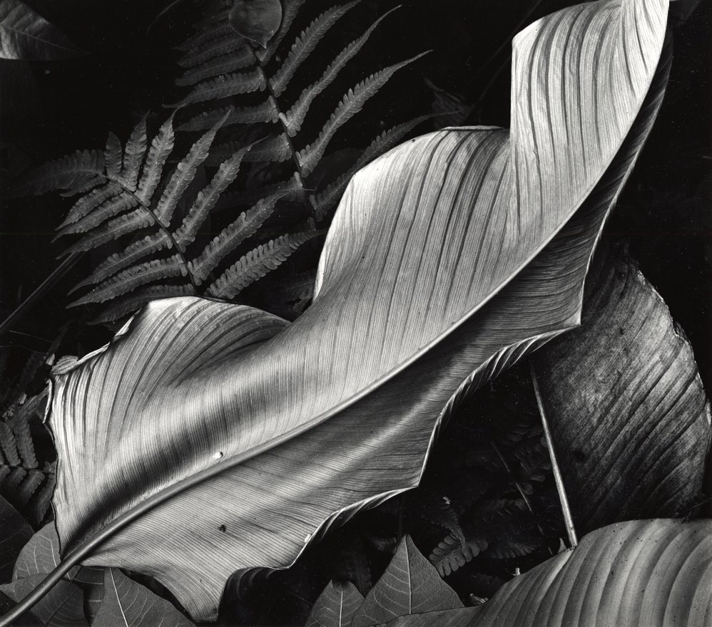 Examples Of Form In Photography Geometric Photography How To Guide Examples Of Form In Photography Geometric Photography How To Guide